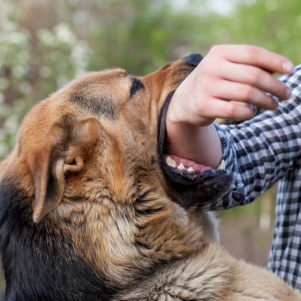 GettyImages-870530976-6x6